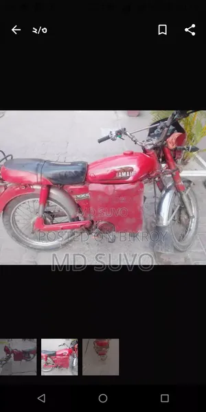 Green Tiger I Auto 1 2018 Pink