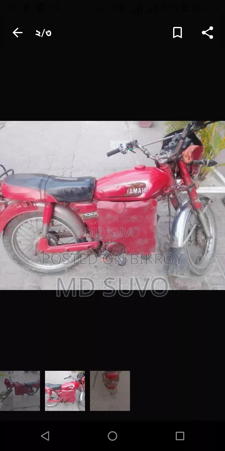 Green Tiger I Auto 1 2018 Pink