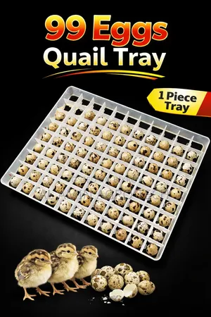 99 Eggs Quail Tray | ৯৯ ডিমের কোয়েল ইনকিউবেটর ট্রে