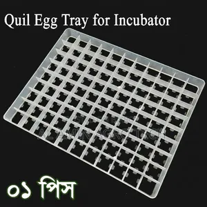 99 Eggs Quail Tray | ৯৯ ডিমের কোয়েল ইনকিউবেটর ট্রে
