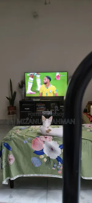 ৩-৬ মাস বয়সী স্ত্রী মিশ্র জাতের বেঙ্গল বিড়াল