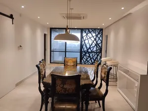 Furnished 3-Bedroom Apartment in Anik Real Estate, Gulshan for Rent