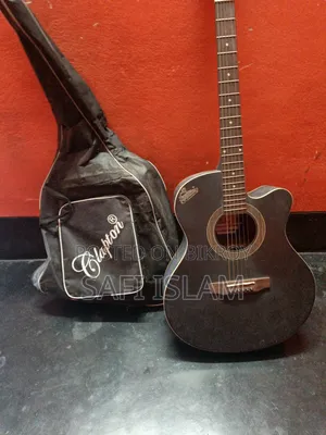 Signature Guitar for Sale