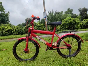 ড্রাগন বল জেড ২০ ইঞ্চি ফুল সার্ভিসড বাচ্চাদের সাইকেল – সেরা উপহার