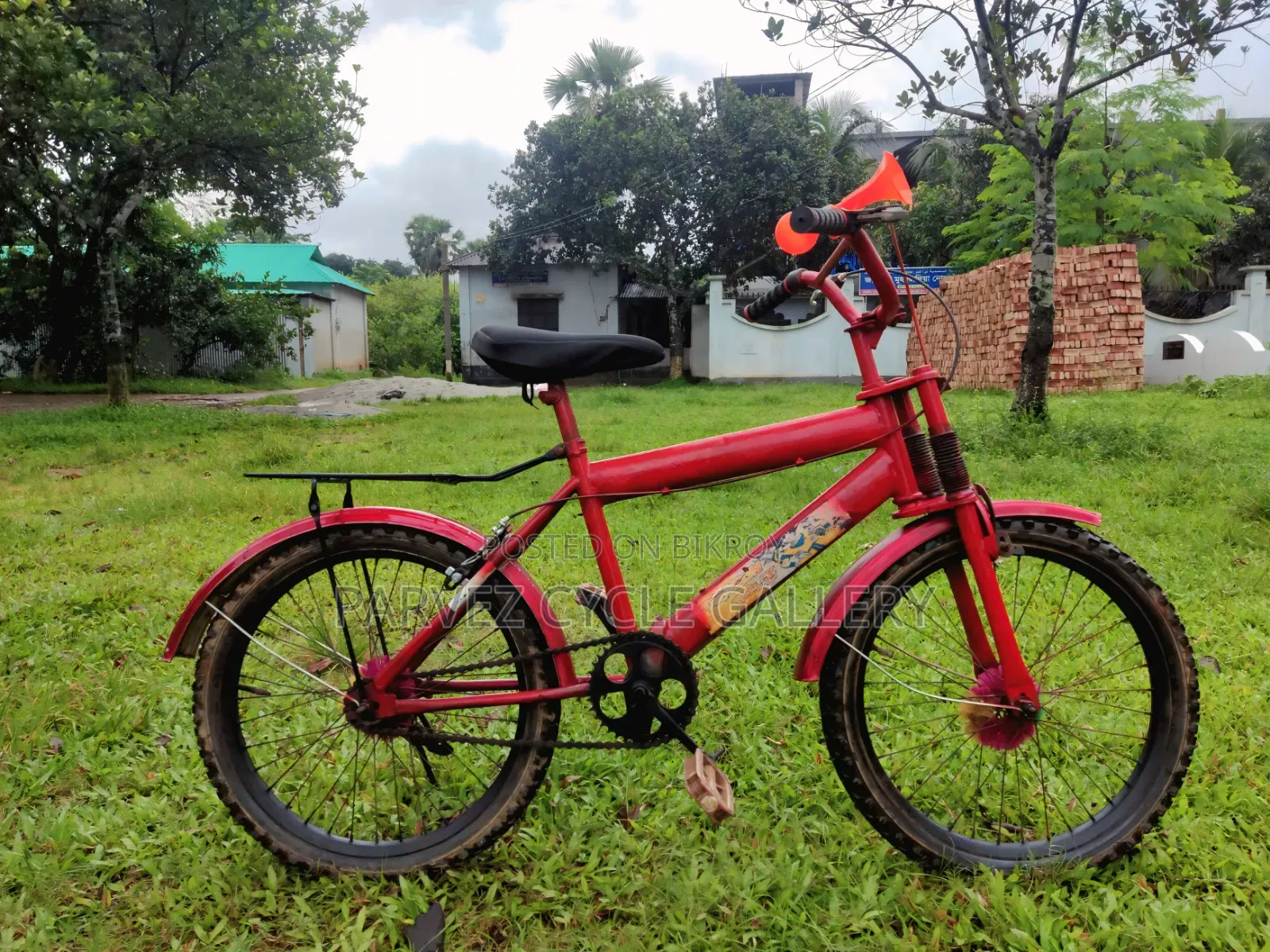 Dragon Ball Z 20" Full Serviced Kids Cycle – Best Gift Ever