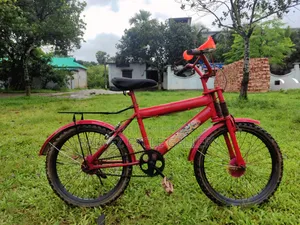 Dragon Ball Z 20" Full Serviced Kids Cycle – Best Gift Ever