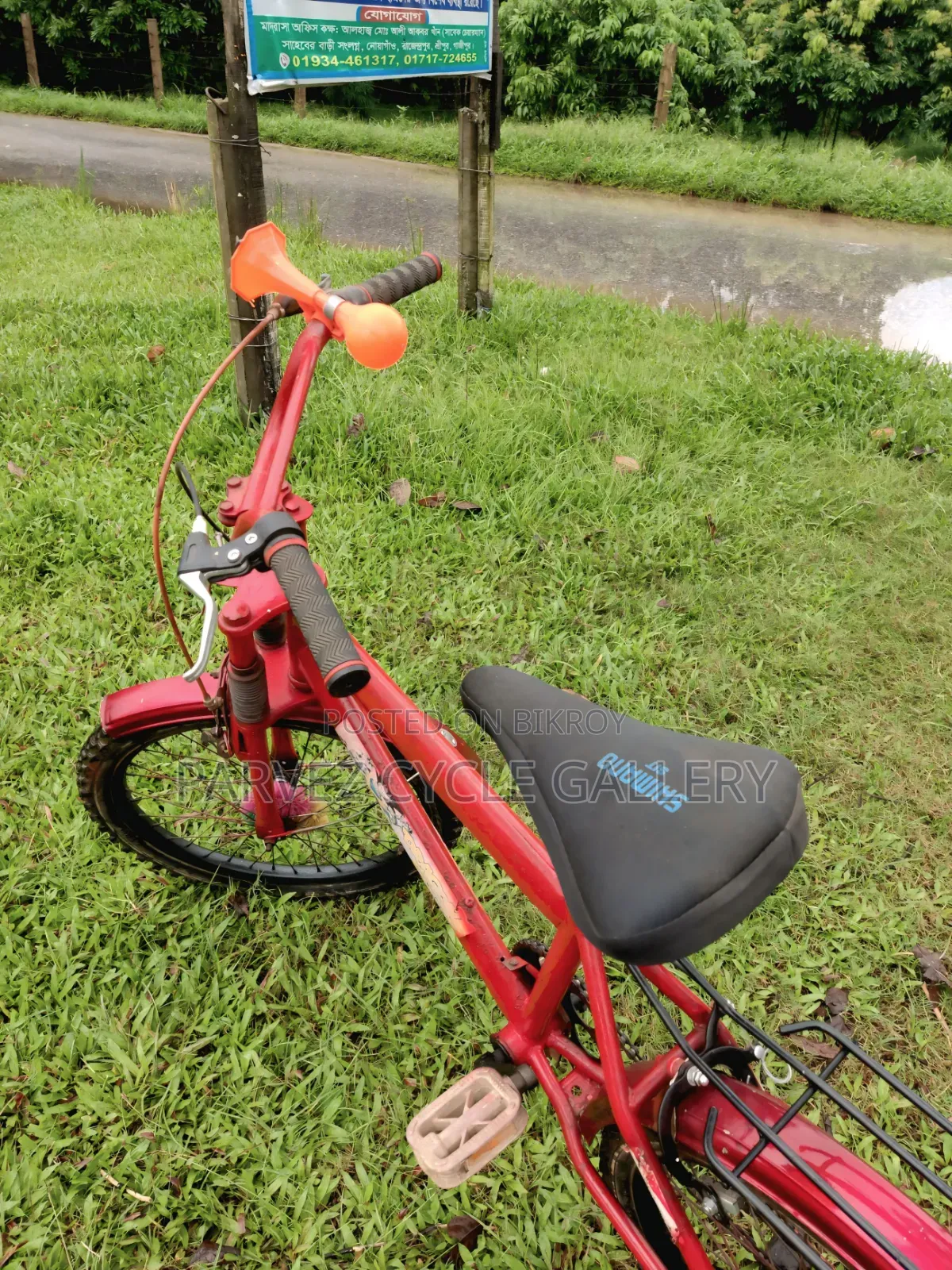 Dragon Ball Z 20" Full Serviced Kids Cycle – Best Gift Ever