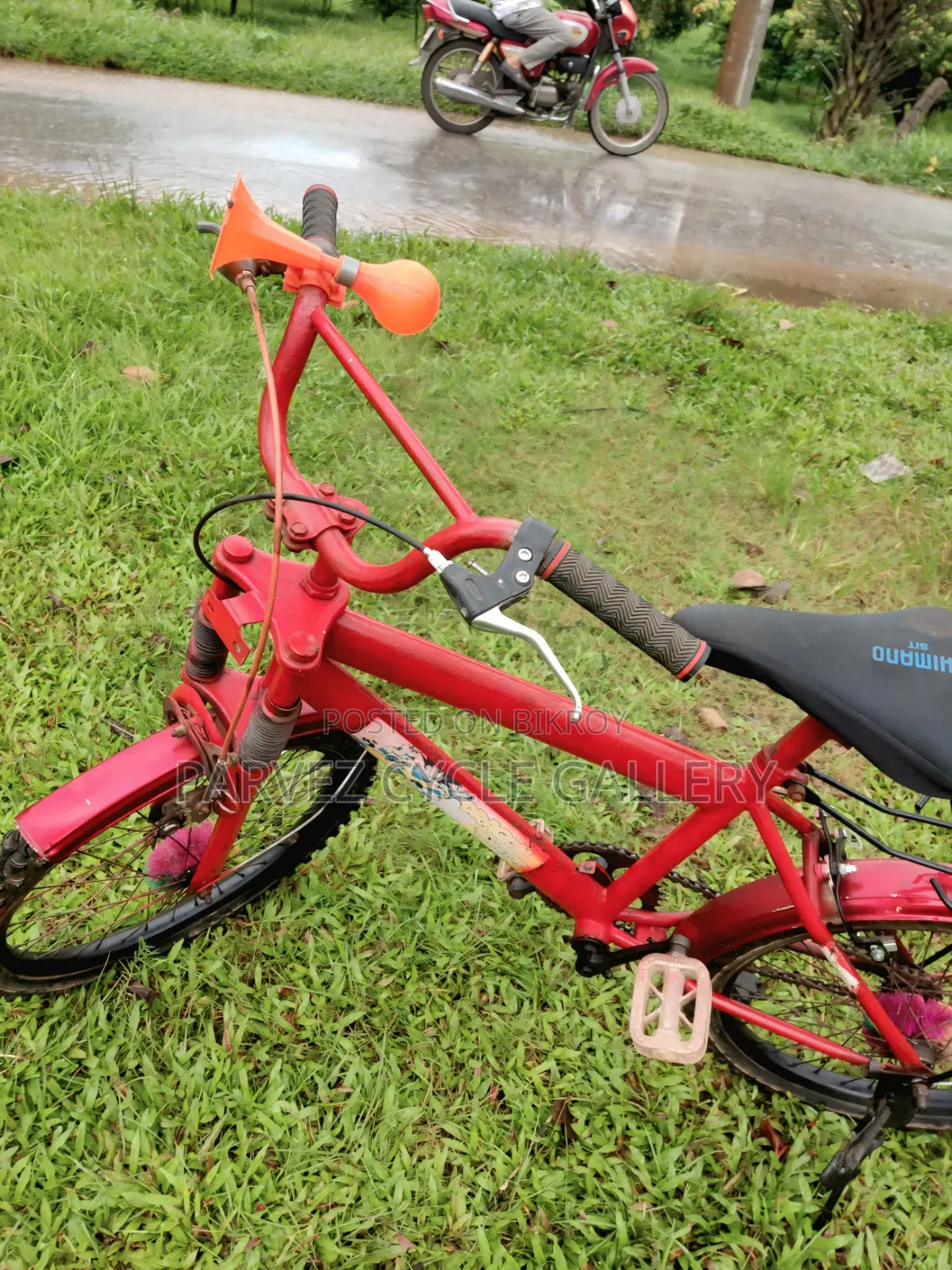 Dragon Ball Z 20" Full Serviced Kids Cycle – Best Gift Ever