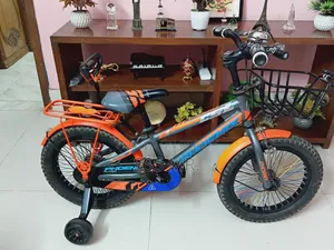 Phoenix Bicycle Sell