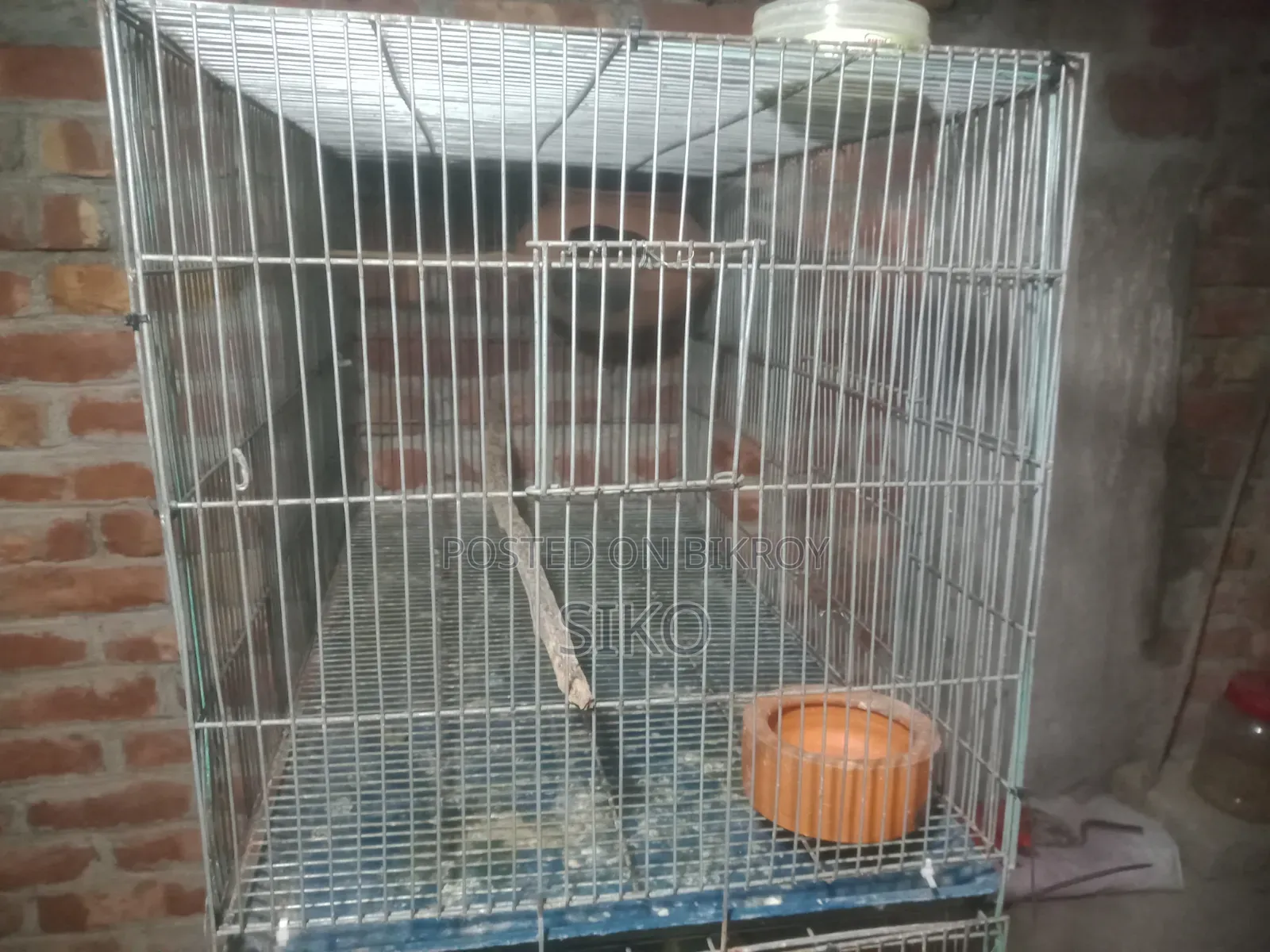 পাখির খাচা
