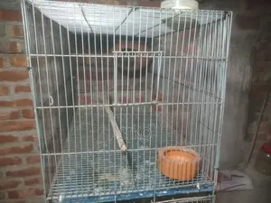 পাখির খাচা