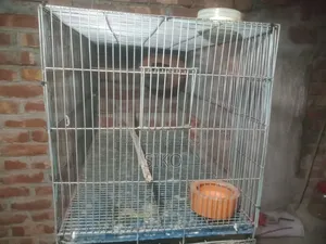 পাখির খাচা