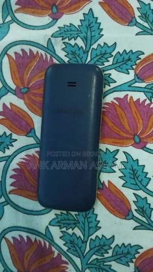 Samsung Guru Music 2 Blue