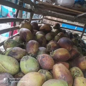 পাইকারি ও খুচরা তাজা দেশি নারিকেল | সারা বাংলাদেশে কুরিয়ার