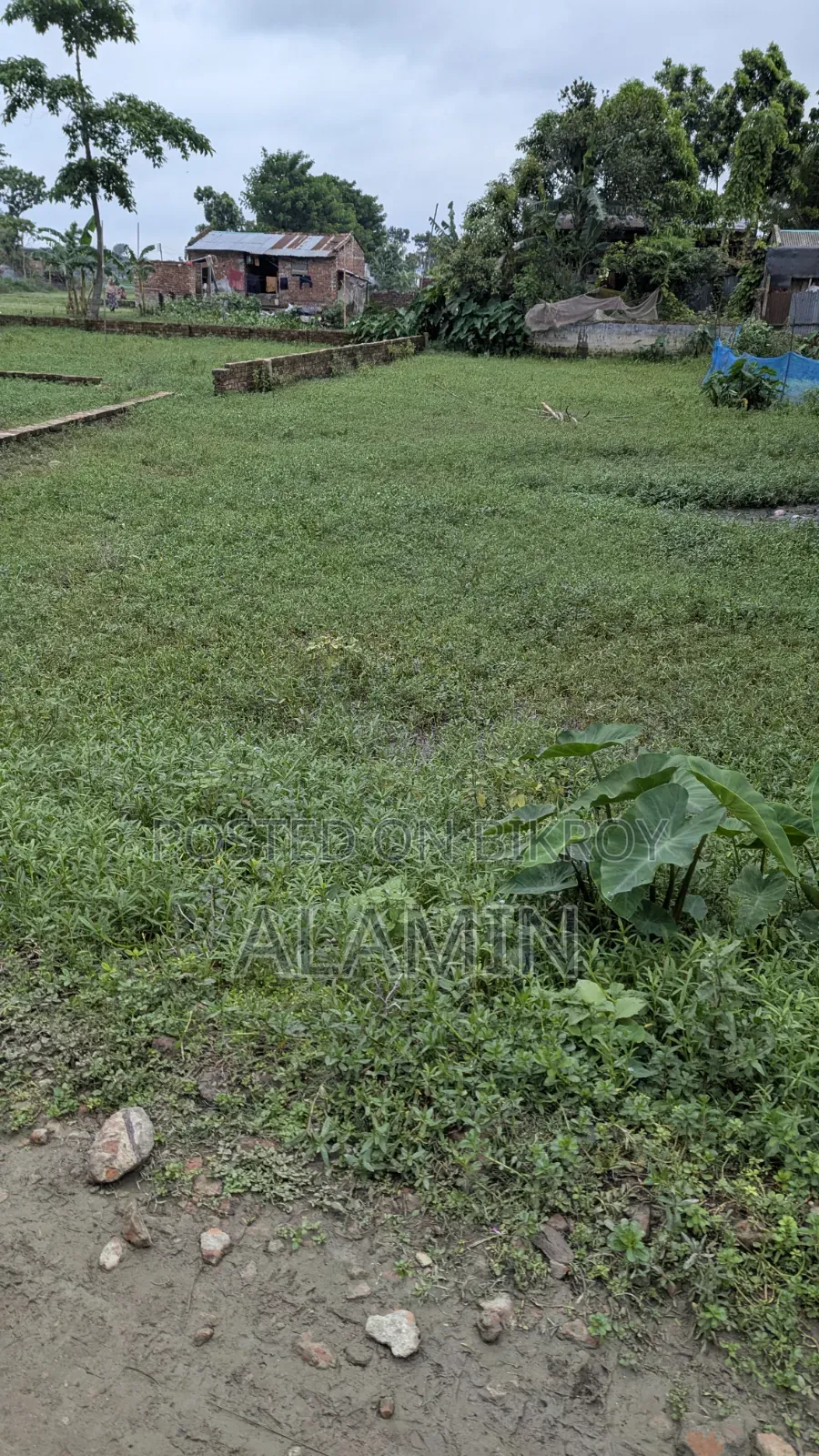 ১০ ফুট রাস্তার সাথে ৫ কাঠা জমি বিক্রয় হবে