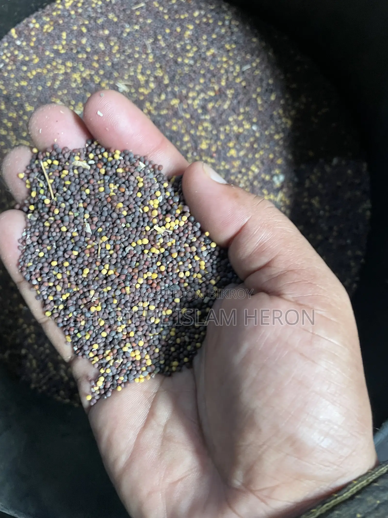 তেতুলের কাঠের ঘানি ভাঙ্গানো সরিষার তেল