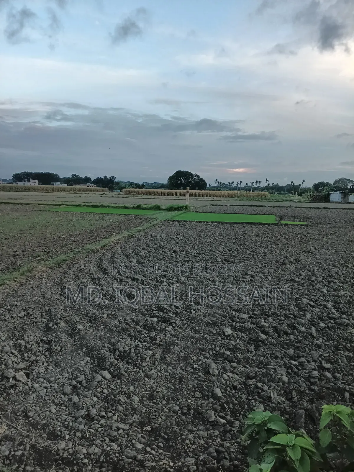 5 Katha Land