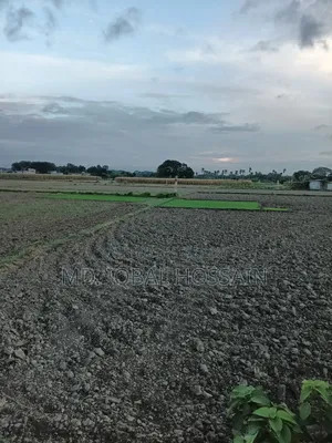 5 Katha Land