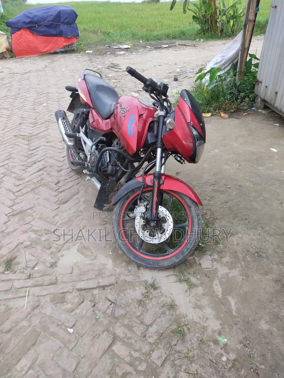 Pursang E-Tracker ২০১০ লাল