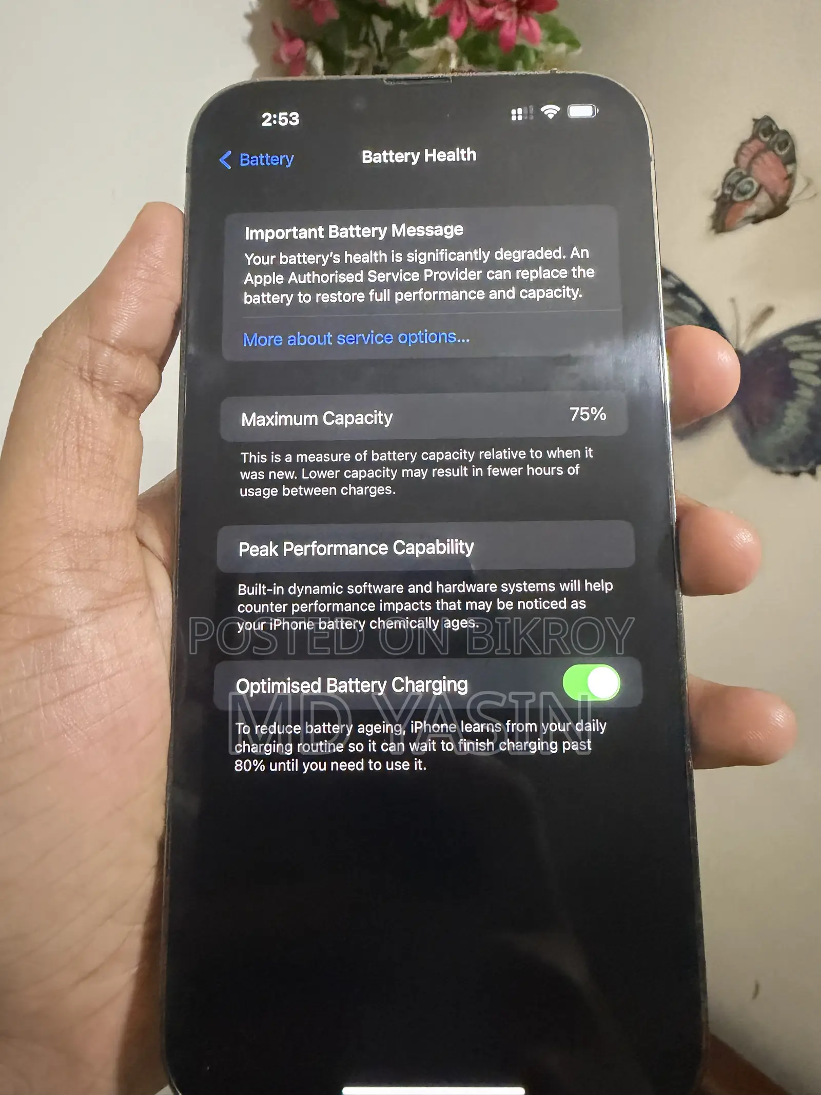Apple iPhone 13 Pro Max 256 GB Gray