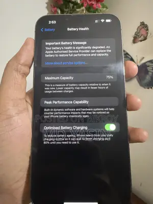 Apple iPhone 13 Pro Max 256 GB Gray