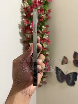 Apple iPhone 13 Pro Max 256 GB Gray