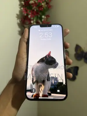 Apple iPhone 13 Pro Max 256 GB Gray