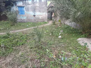 Land for Making Home