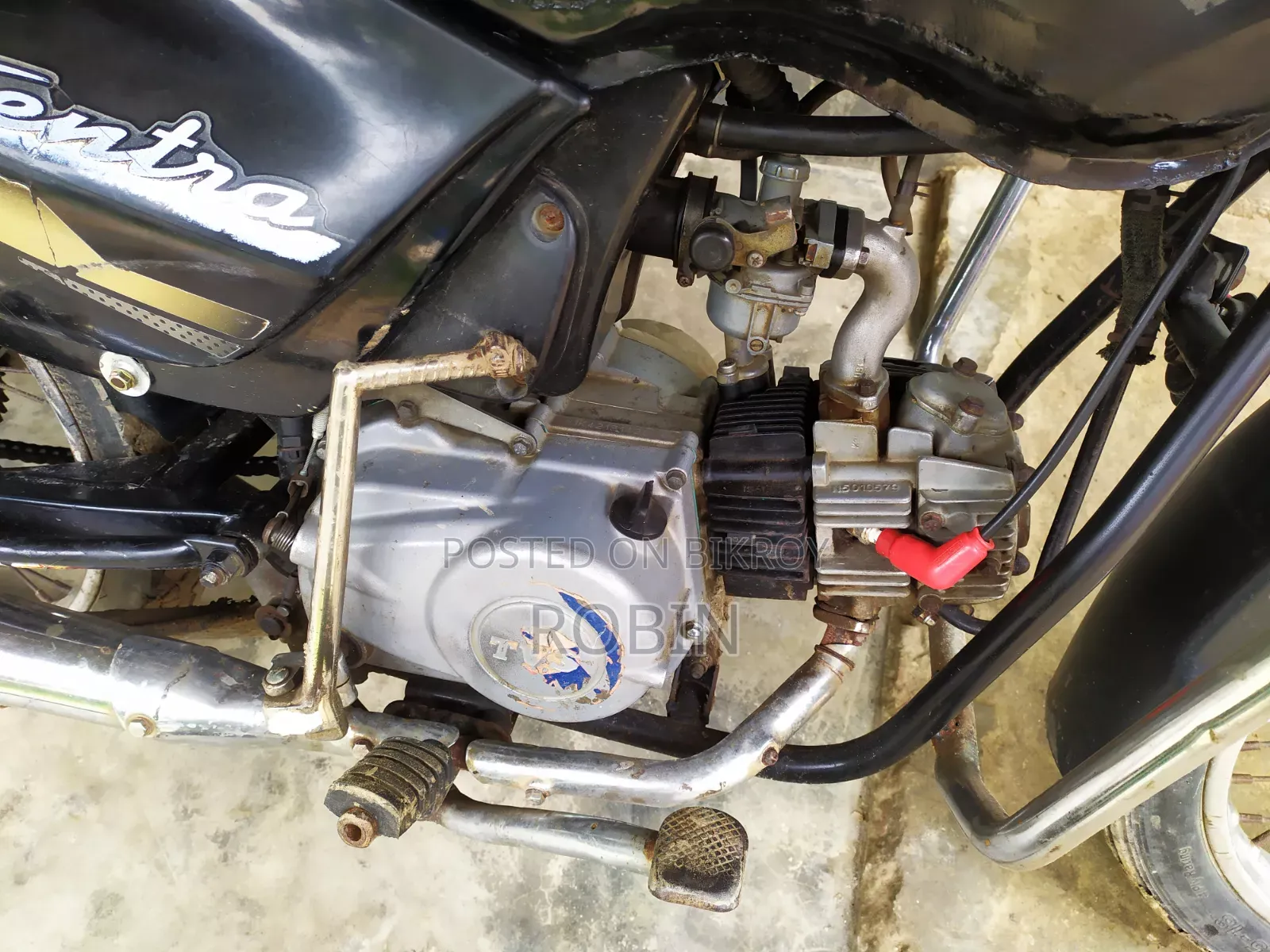 TVS 2010 Black