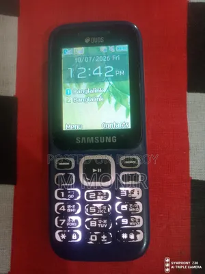 Samsung Guru Music 2