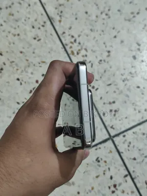 Xiaomi 15 Pro 256 GB Silver