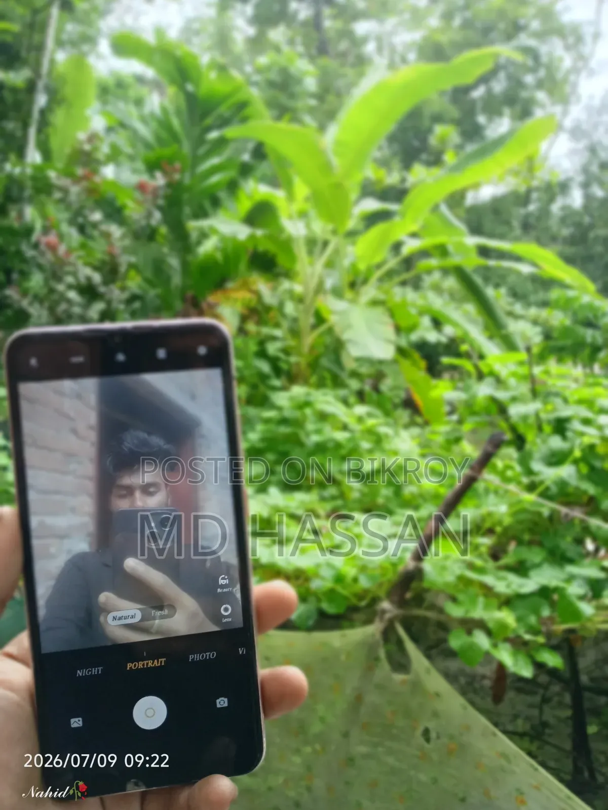 Vivo S1 Pro 128 GB Pink
