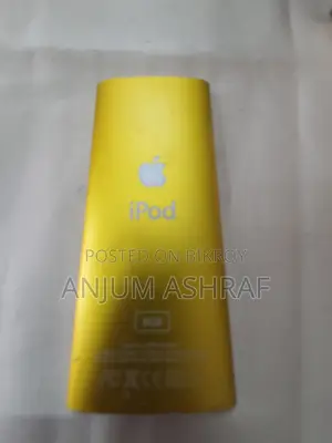Apple iPod Nano 5th Gen (8gb)