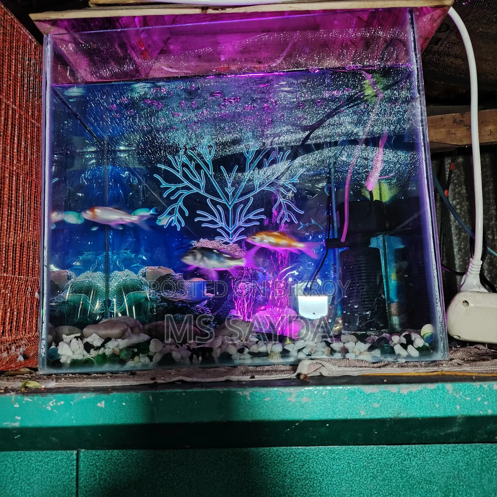 An aquarium for sale