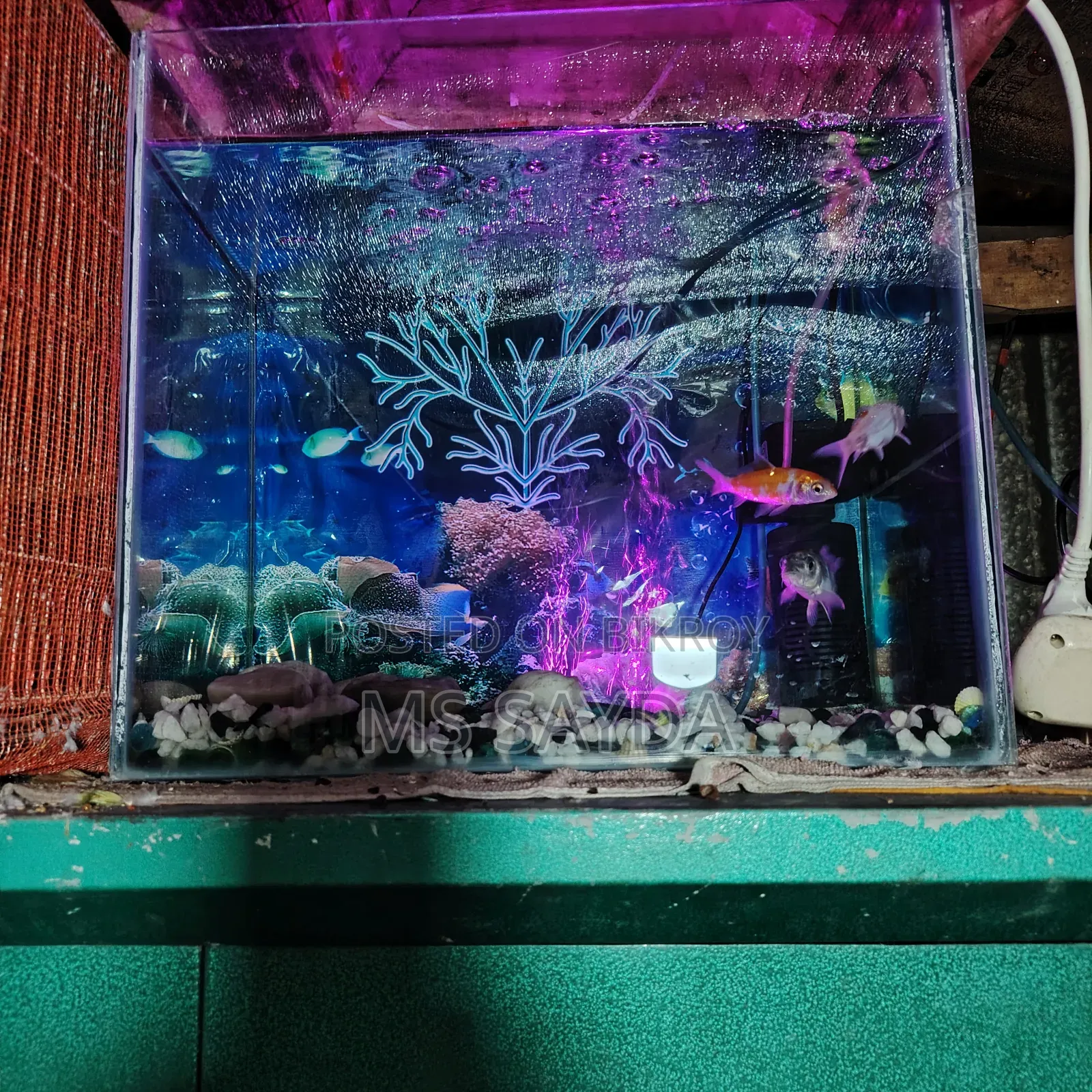 An aquarium for sale