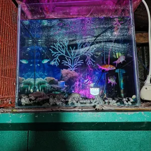 An aquarium for sale