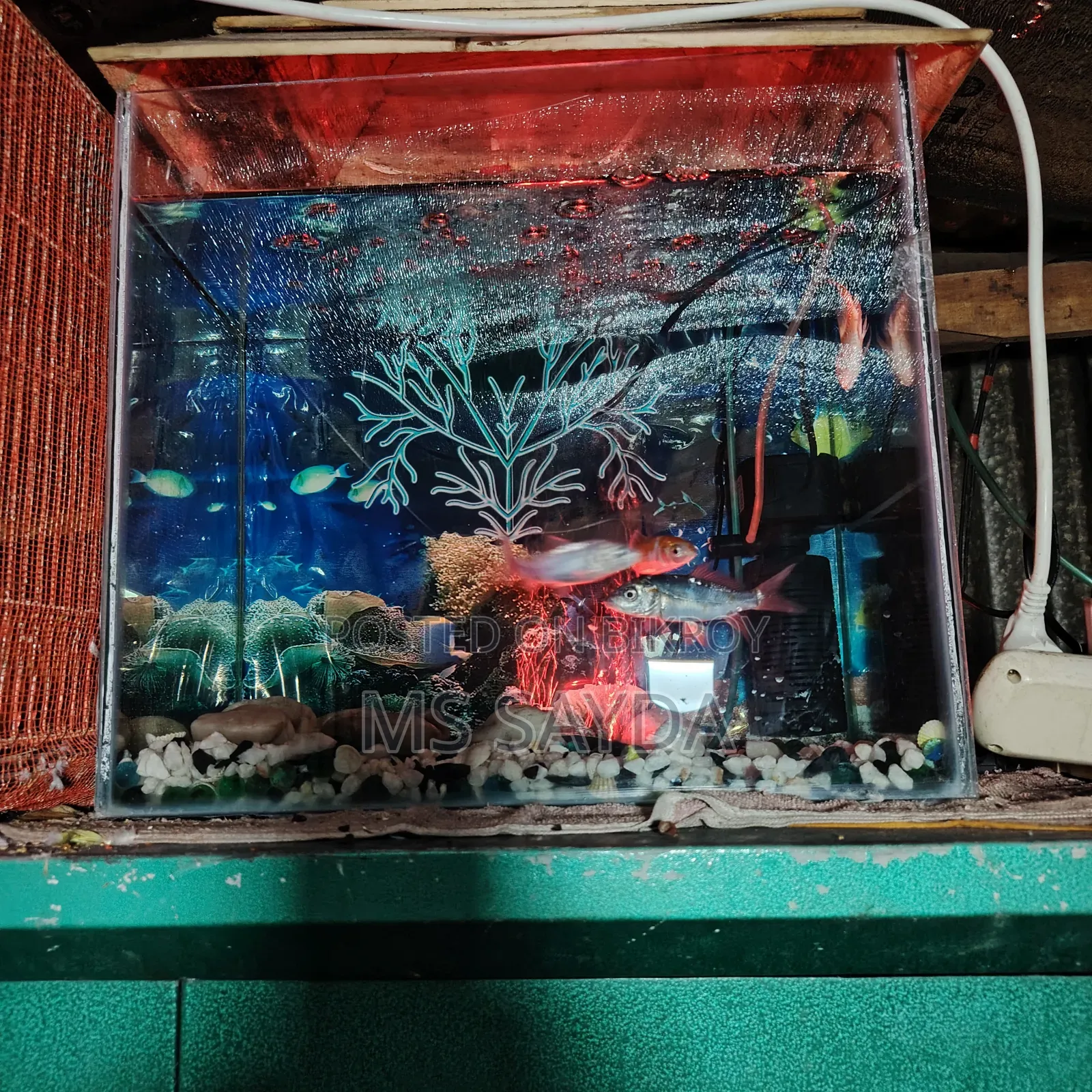 An aquarium for sale