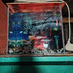 An aquarium for sale