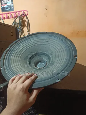 স্পিকার ১৫"