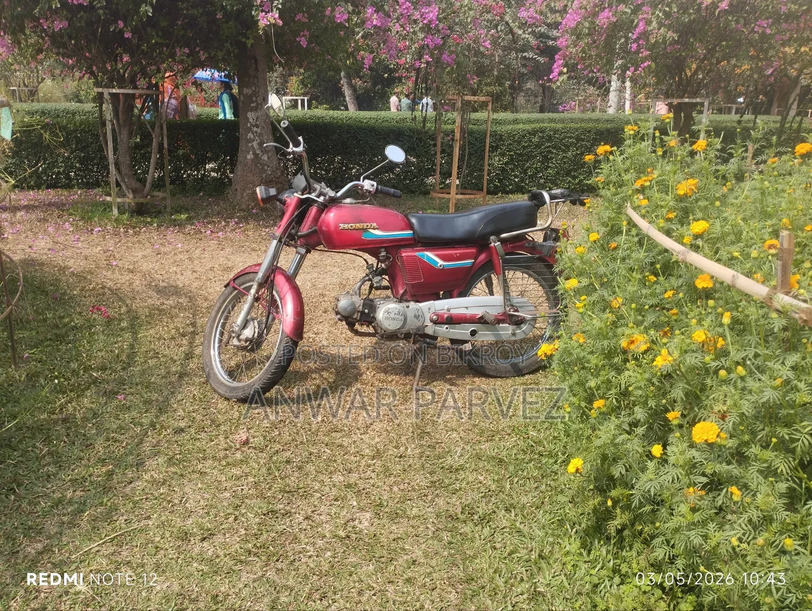 Honda 1999 Red