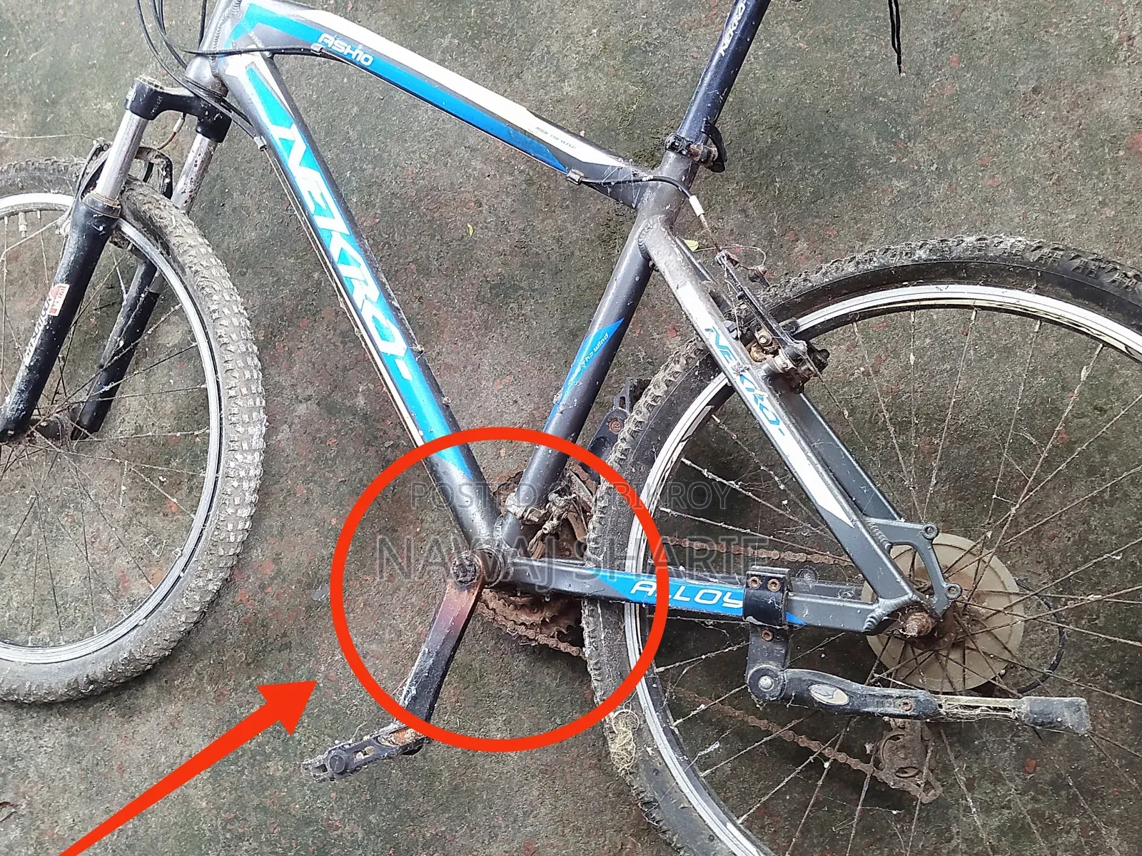 Nekro Cycle
