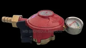 গ্যাস সেপ্টি রেগুলেটর