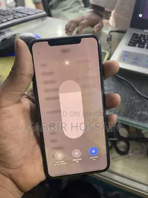 Apple iPhone 11 Pro Max 256 GB Gray