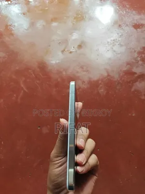 শাওমি ১৩ ২৫৬ জিবি নীল