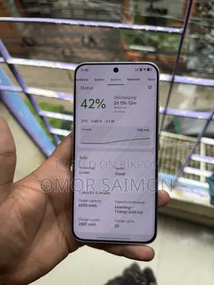Vivo 512 GB Purple