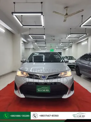 Toyota Axio 2022 Silver
