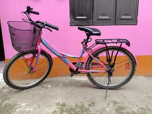 Duranta Andelena Ladies Bicycle