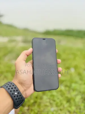 Apple iPhone 12 Pro Max 512 GB Blue