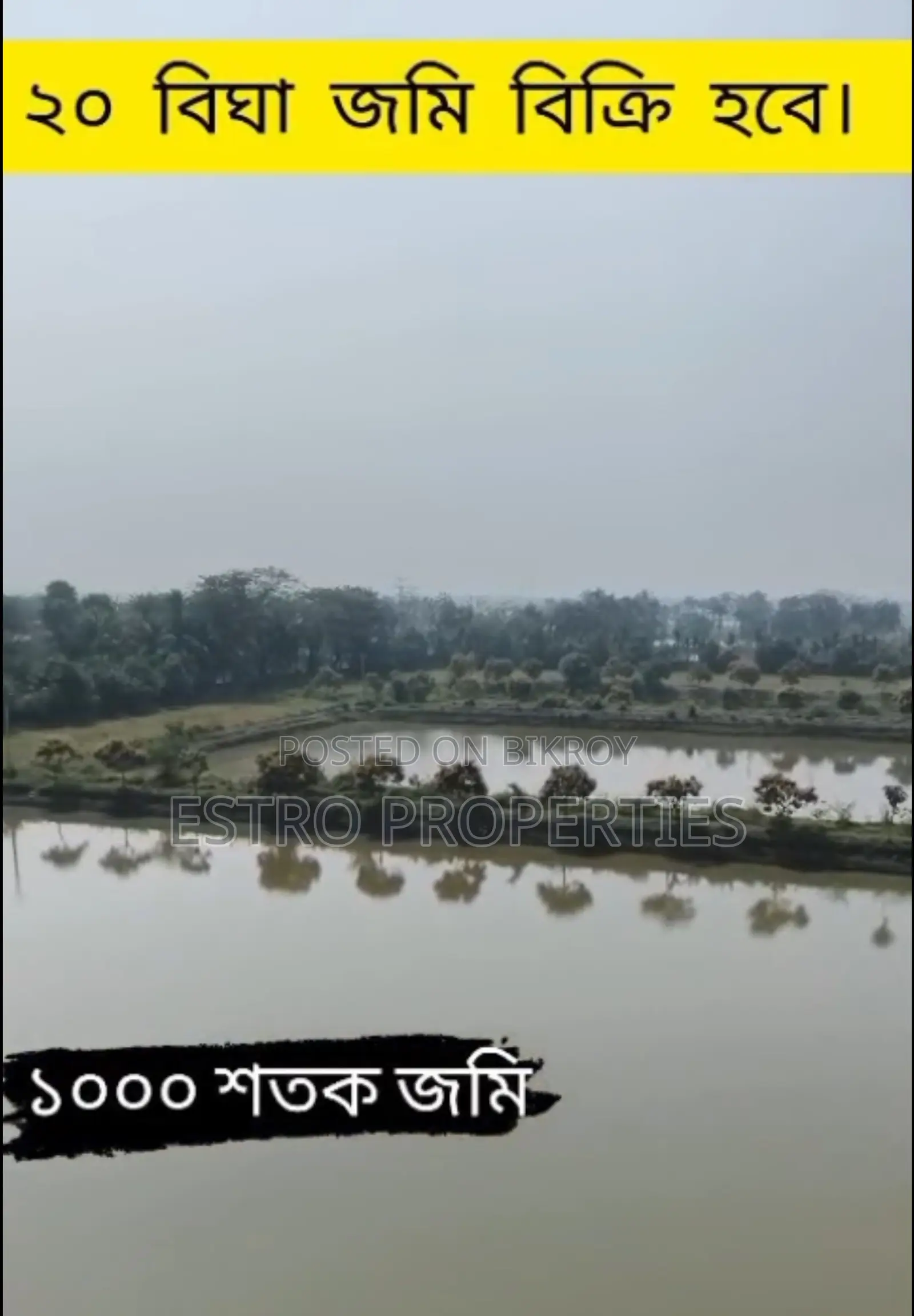 ২০ বিঘার বিশাল বাগান বাড়ি খুলনার ডুমুরিয়া উপজেলার রংপুরে বিক্রি হবে