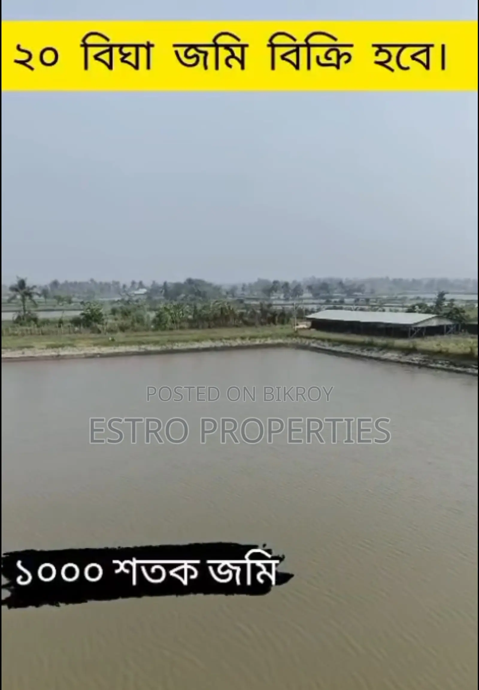 ২০ বিঘার বিশাল বাগান বাড়ি খুলনার ডুমুরিয়া উপজেলার রংপুরে বিক্রি হবে